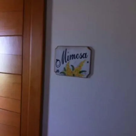 Accipicchia 팜스테이 *